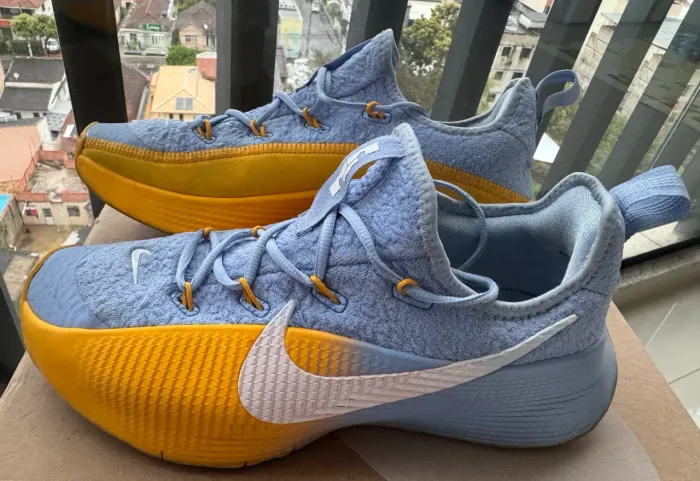 Nike Lebron TR1