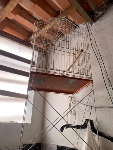 Gaiola para passarinho
