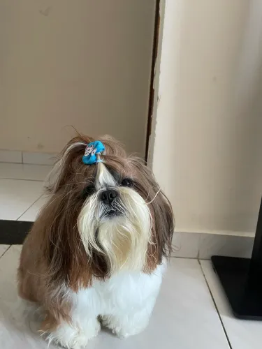 Buscando namoradinha 
