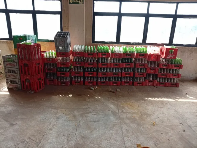Lote de Vasilhames