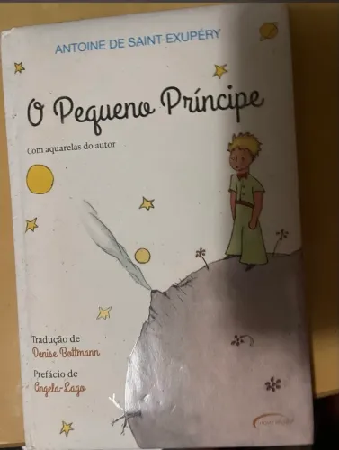 Livro o pequeno príncipe 