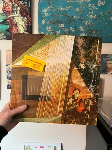 Disco de vinil lp Boogarins Sombrou Dúvida Noize