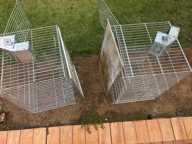 GAIOLAS PARA COELHOS