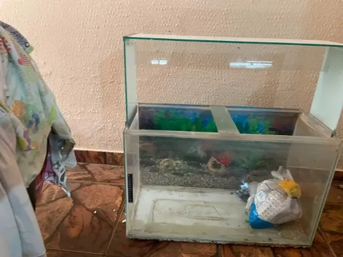 Aquario de 100 litros
