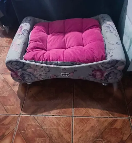 Cama pet