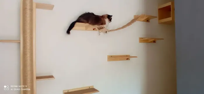 Kit completo arranhador para gatos