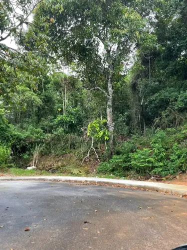 Terreno Bambuí (Ponta Negra) - Maricá-RJ