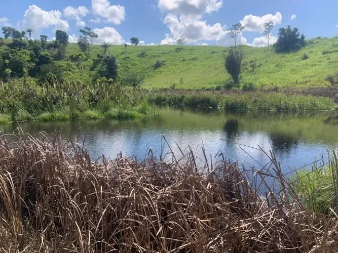 TERRA/FAZENDA À VENDA 32h