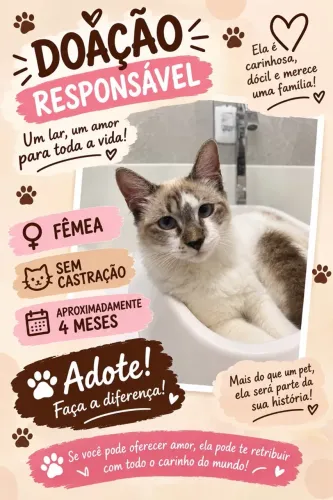 Adoção responsável 