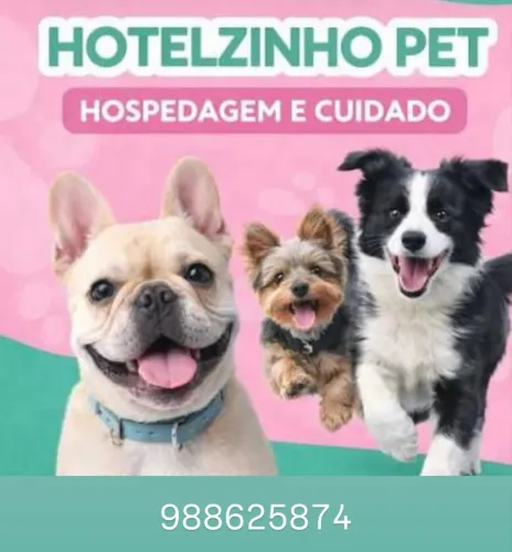 Hotel e pet shop