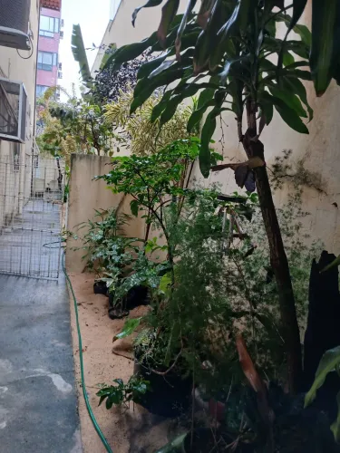 KTINET EM JARDIM CAMBURI