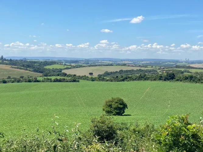 Fazenda 100 Alqueires, 80 Alqueires em Área Para Plantio, Topografia Plana, Terra Mista, S