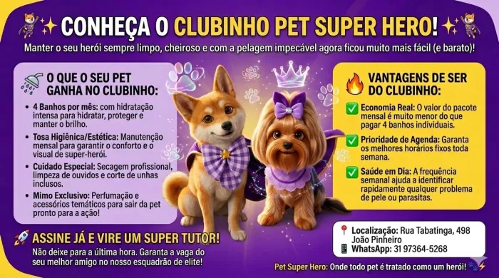 Banho e Tosa Profissional - Estética Pet com Carinho e Qualidade