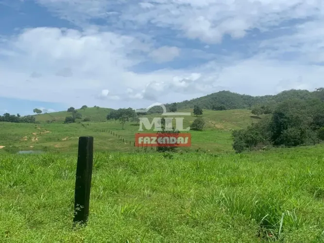 Fazenda 385 Alqueires (1.864 Hectares) Formoso - GO