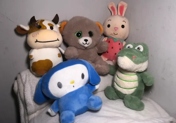 Combo Lote Kit com Pelúcias Variadas, Fofas, Limpas em Ótimo Estado