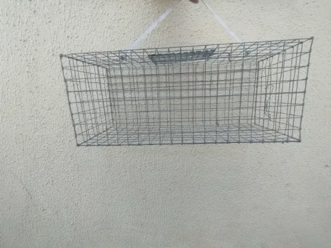 GAIOLA DE PASSARINHO GALVANIZADA 50x20