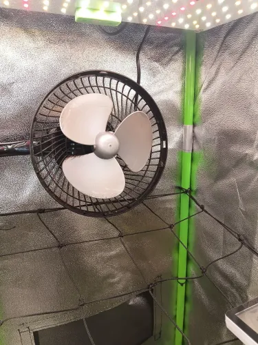 Mini ventilador de clip