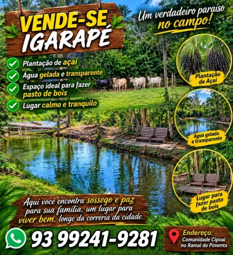 Igarapé..