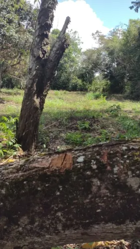 Vendo terreno no mararu.10×30 aceito cartão