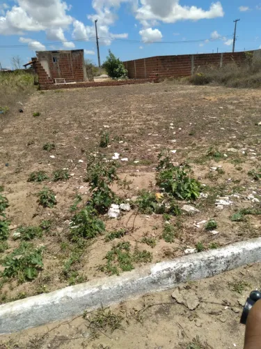 Terreno no bosque das colinas