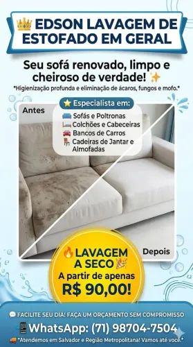 LAVAGEM A SECO