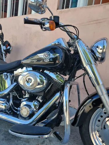Harley davidson fat boy 2013