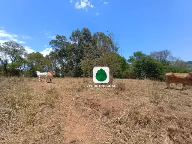 Terreno à venda, 5000 m² por R$ 350.000,00 - Baú - São Bento do Sapucaí/SP