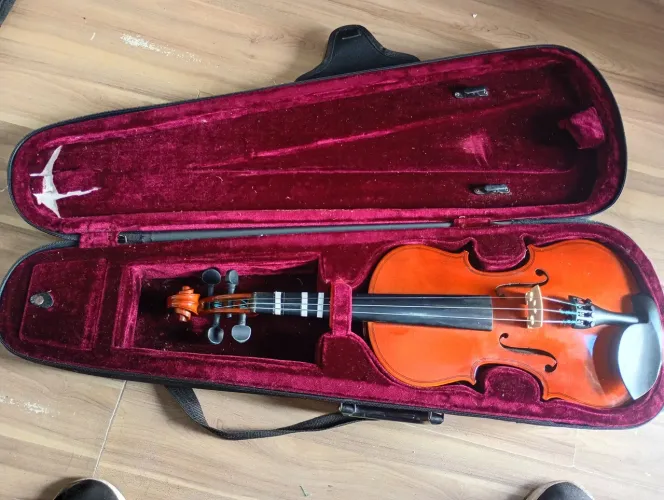 Violino 