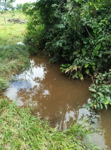 Chácara ESCRITURADA com 2 alqueires e meia quarta a 6km de cacoal 