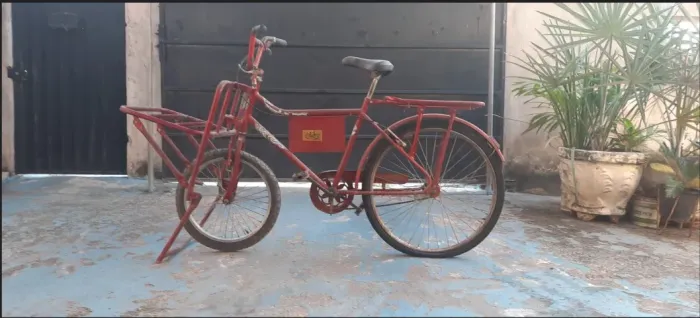 Bicicleta cargueira