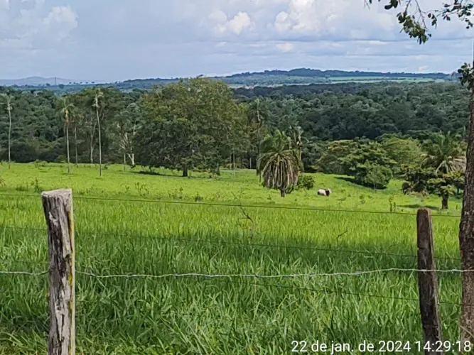 Fazenda à venda 65 alqueires em Palmeiras-Go