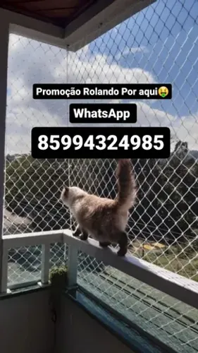 Redes de Proteção