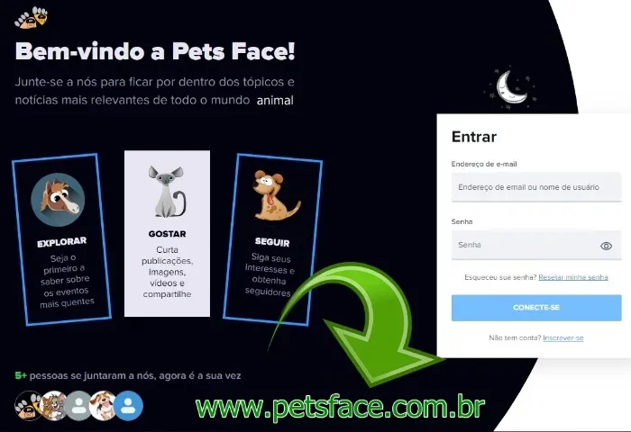 Script Php Rede Social para animais