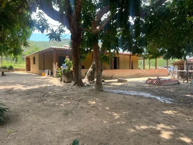 Fazenda com 80 Alqueires em Niquelândia/GO