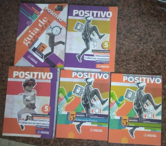 Livros Didáticos Positivo Novo Ensino Médio - 2° Ano Médio 