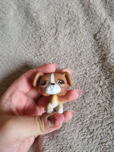 Cachorro Boxer littlest pet shop