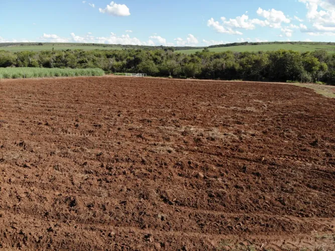ARRENDAMENTO OU VENDA DE CHÁCARA, PRA PRODUÇÃO DE HORTALIÇAS!!