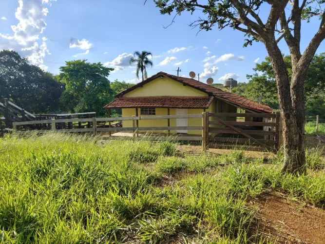 OPORTUNIDADE EM LAGAMAR/MG: Fazenda 110 Hectares - Pronta para Pecuária!