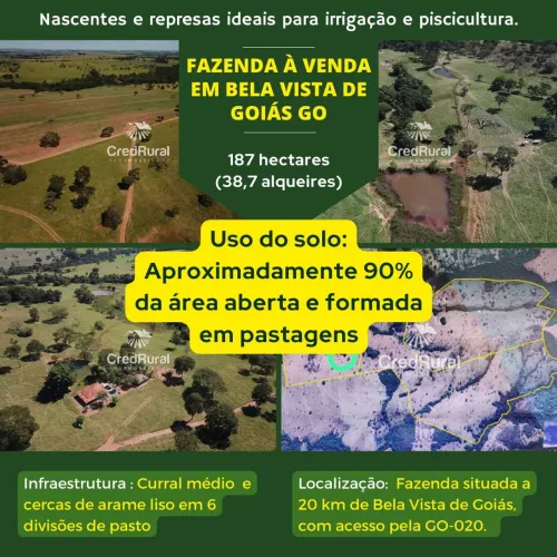 Fazenda em Bela Vista de Goiás, 38 alq Aberta 90% Planta 10 alq. R$:17.415.000.00 milhões.