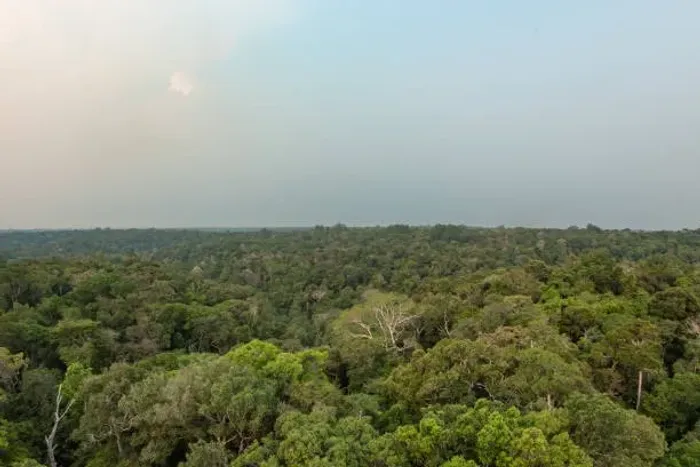 Área 11.850 hectares na AM 010, 3.500.000