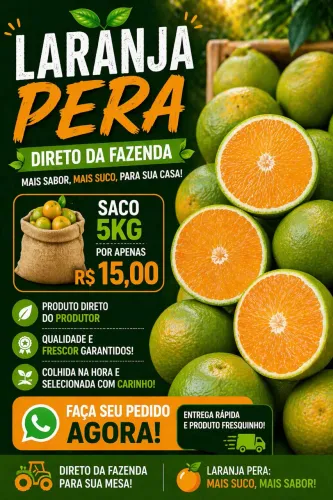 Laranja direto do produtor 
