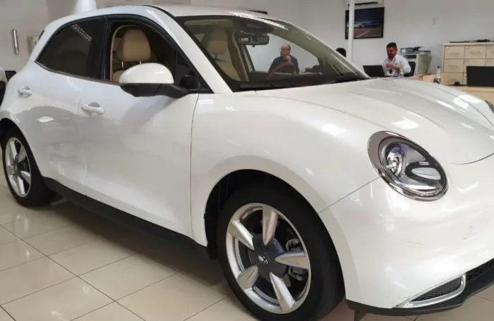 GWM Ora 03 Skin (elétrico) 2024