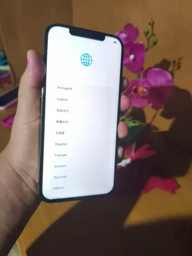 iPhone 12 pro Max