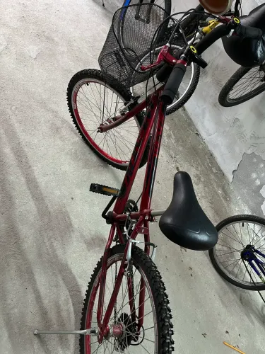 Bicicleta