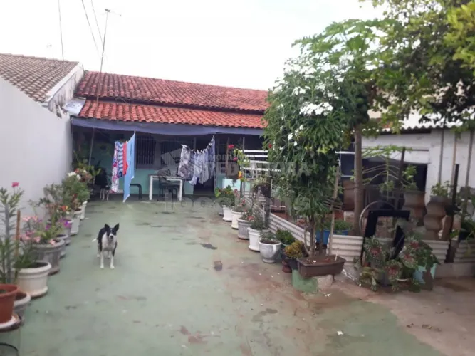 Monte Verde - Casa Venda