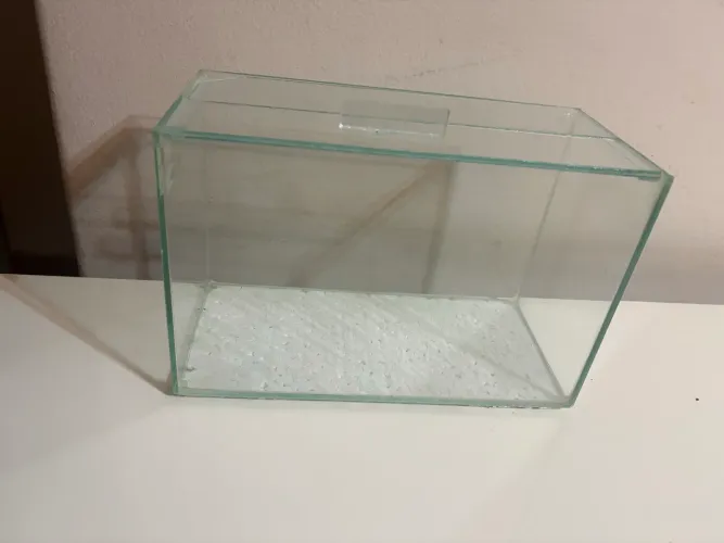 Aquário 