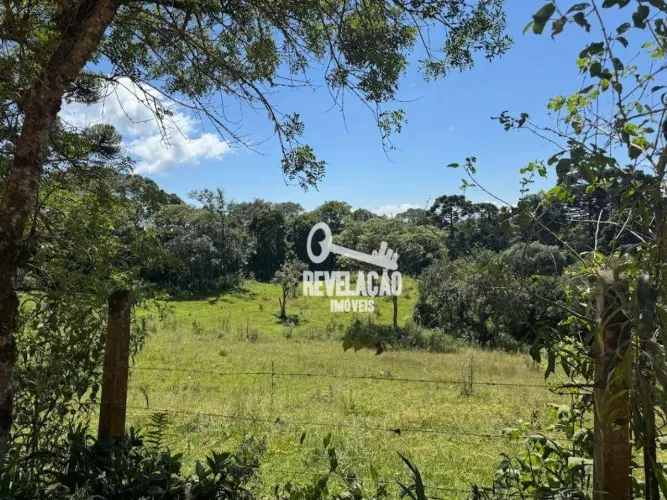 Chácara a partir de 20.000 m² na Colônia Murici - São José dos Pinhais