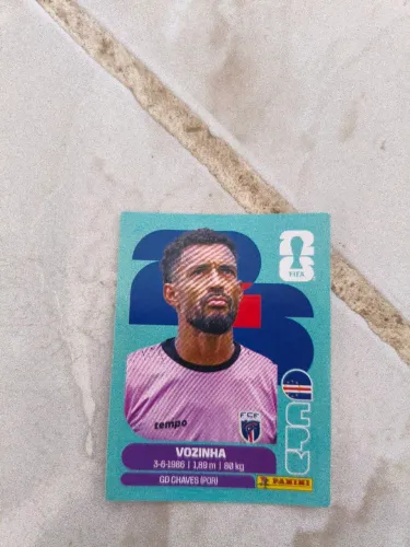 Vozinha