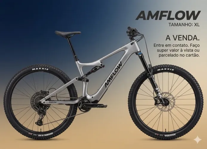 Mtb e-bike AMFLOW