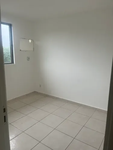 Procura-se colega de apartamento